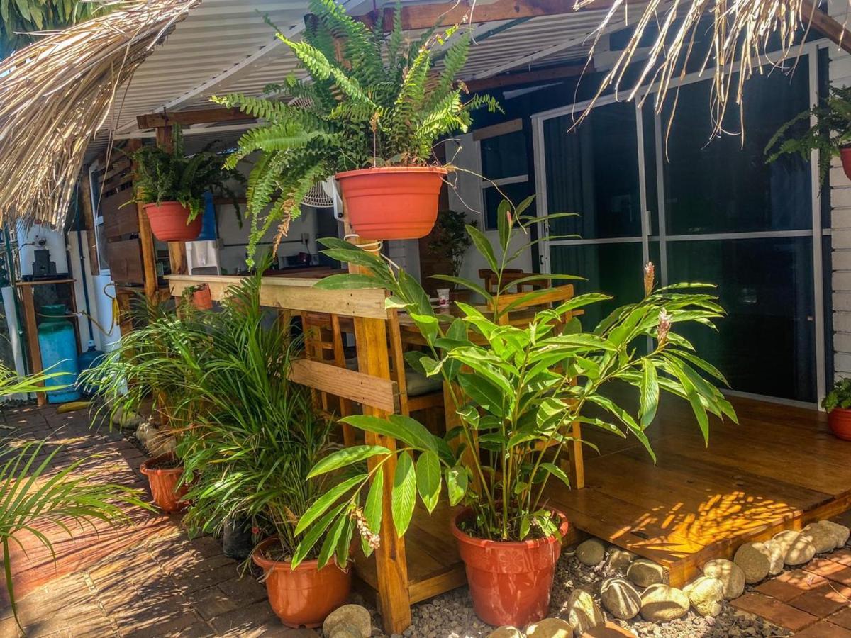 Hotel Shaka House Puerto Escondido  Exteriér fotografie